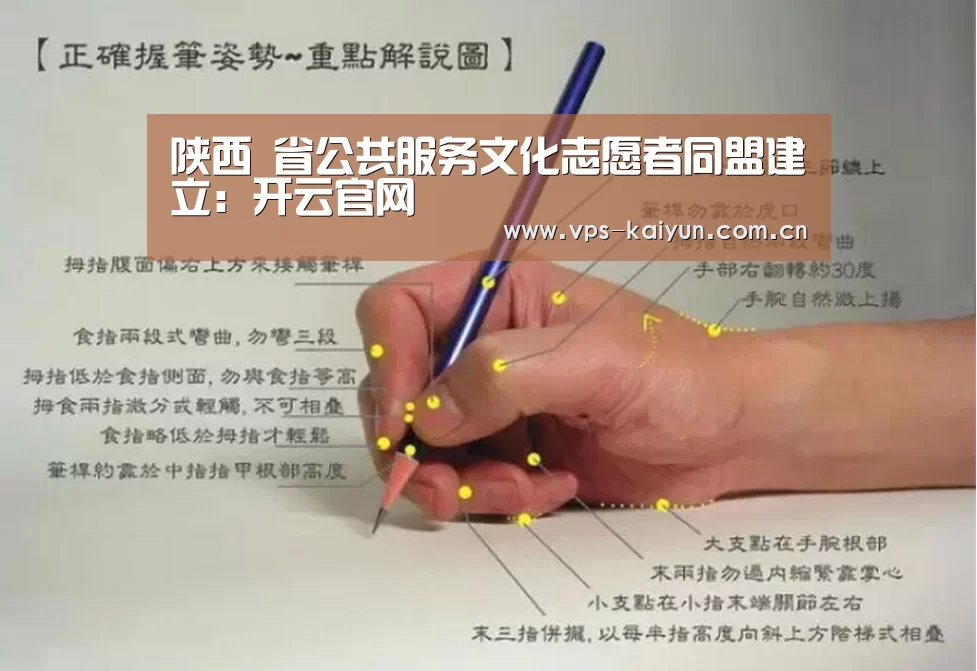 
陕西 省公共服务文化志愿者同盟建立：开云官网