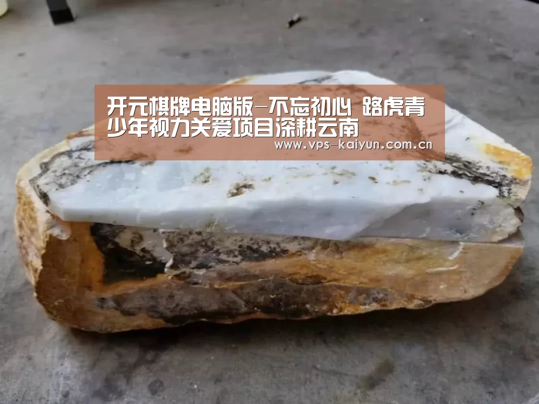 开元棋牌电脑版-不忘初心 路虎青少年视力关爱项目深耕云南