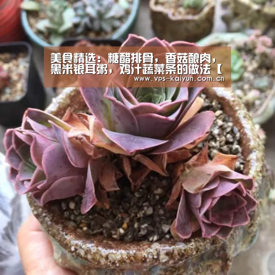 美食精选:糖醋排骨,香菇酿肉,黑米银耳粥,鸡汁蔬菜条的做法【开元棋牌app】(图3) 开元棋牌app