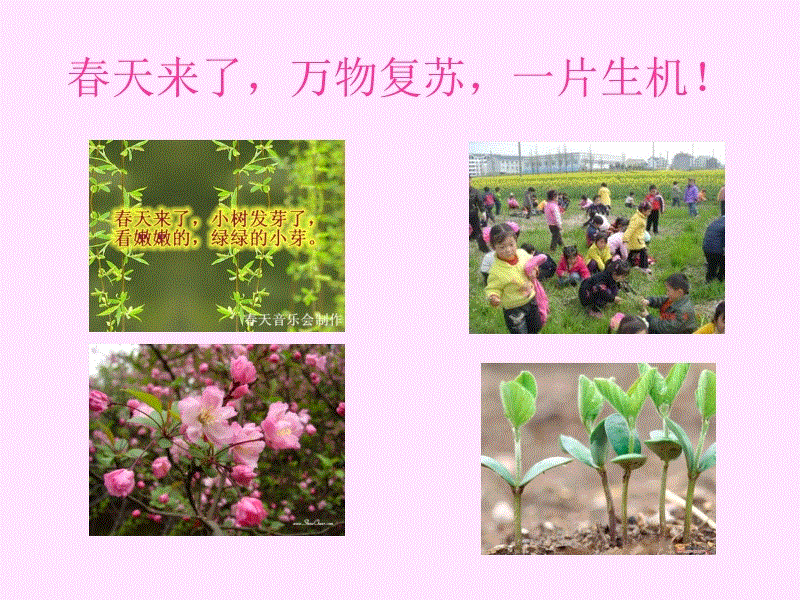 “开元棋牌电脑版”
果蔬消毒机(食材净化机)有十大品牌吗 奢曼尼母婴机热销(图2) 开云官网
